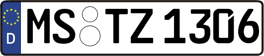 MS-TZ1306