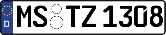 MS-TZ1308