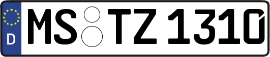 MS-TZ1310