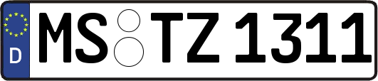 MS-TZ1311