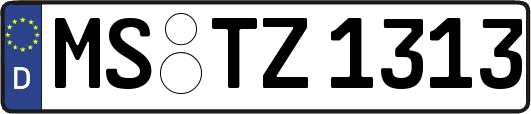 MS-TZ1313