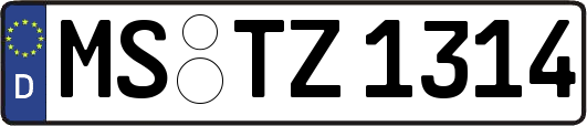 MS-TZ1314