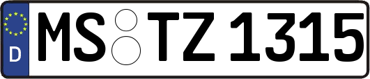 MS-TZ1315