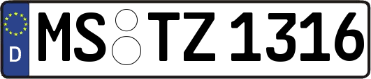 MS-TZ1316