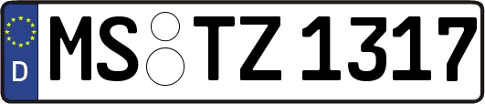 MS-TZ1317