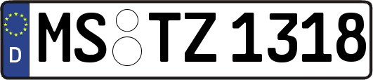 MS-TZ1318