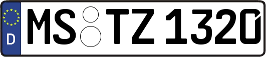 MS-TZ1320