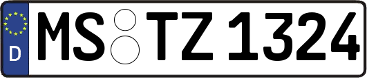 MS-TZ1324