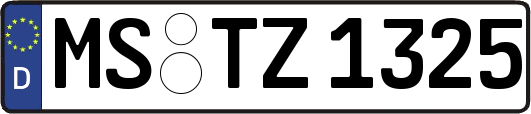 MS-TZ1325