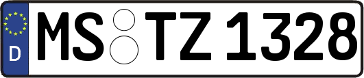 MS-TZ1328