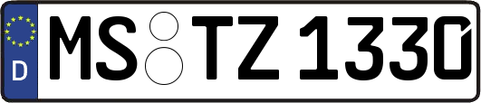 MS-TZ1330