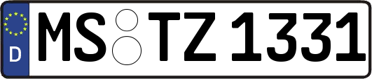 MS-TZ1331