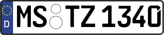 MS-TZ1340
