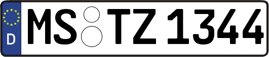 MS-TZ1344