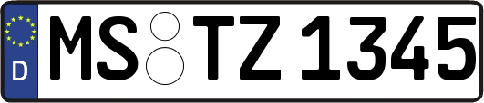 MS-TZ1345