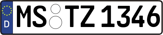 MS-TZ1346