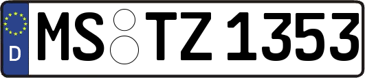 MS-TZ1353