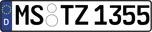MS-TZ1355