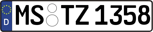 MS-TZ1358