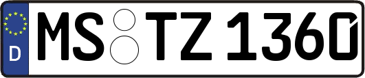MS-TZ1360