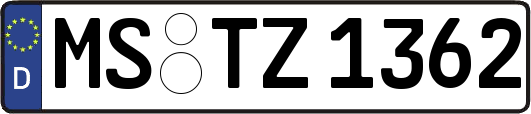 MS-TZ1362