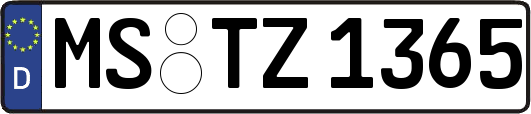 MS-TZ1365