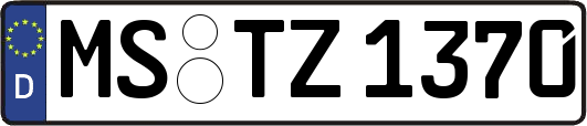 MS-TZ1370