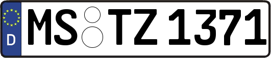 MS-TZ1371