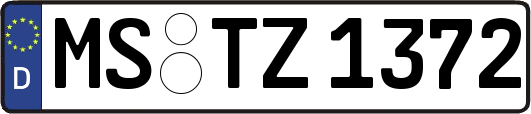 MS-TZ1372