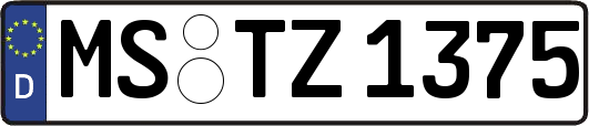 MS-TZ1375