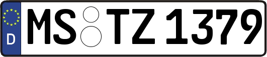 MS-TZ1379