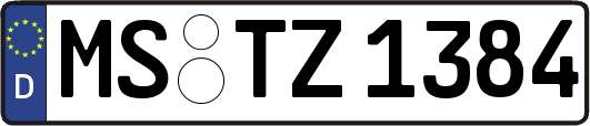 MS-TZ1384