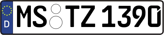 MS-TZ1390