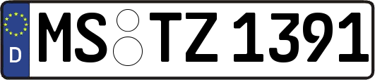 MS-TZ1391