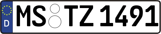 MS-TZ1491
