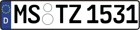 MS-TZ1531