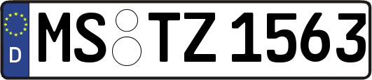 MS-TZ1563