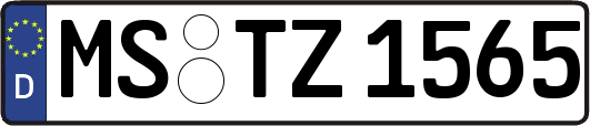 MS-TZ1565
