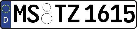 MS-TZ1615