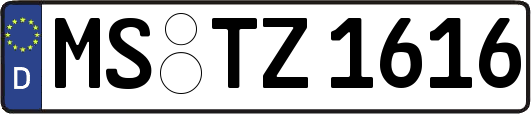 MS-TZ1616