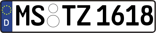MS-TZ1618
