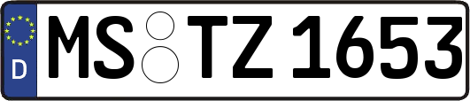 MS-TZ1653