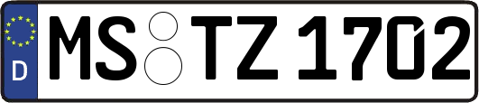MS-TZ1702