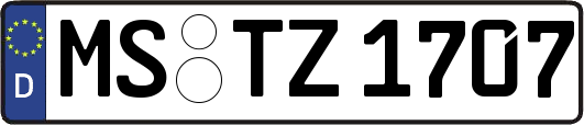 MS-TZ1707