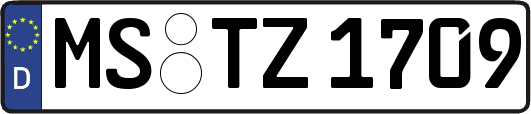 MS-TZ1709