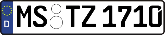 MS-TZ1710