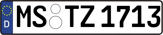 MS-TZ1713