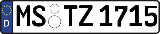 MS-TZ1715