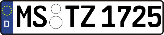 MS-TZ1725