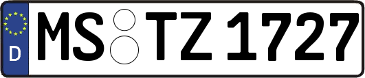 MS-TZ1727